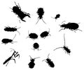 Bug insect silhouettes Royalty Free Stock Photo
