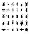 Bug insect silhouettes Royalty Free Stock Photo