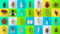 Bug of insect vector flat set icon.Vector illustration insect beetle. Isolated flat icon bug and fly beetle.