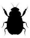 bug insects wildlife animals vector illustration