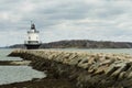 Bug Light Royalty Free Stock Photo