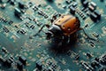 The bug on the motherboard of a computer as a symbol of a damaged code or virus Royalty Free Stock Photo