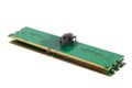 Bug on PC memory module. Computer error concept Royalty Free Stock Photo