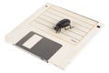 Bug on retro floppy diskette. Computer error concept Royalty Free Stock Photo