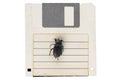 Bug on retro floppy diskette. Computer error concept Royalty Free Stock Photo