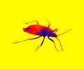 Bug in scientific high-tech thermal imager Royalty Free Stock Photo