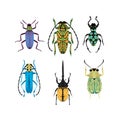 Bug species and exotic beetles icons collection.