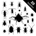 Bug species and exotic beetles icons vector collection. Various insects set with as Goliath beetle, Frog-legged, Ladybug