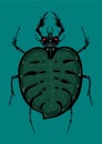 Bug with tropical leaf. Insect withmonstera. Tattoo style vector print. Poster with beetle and exotic flora. Mimicry