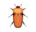 Bug vector icon for web design isolated on white background. Bug and Insect set in cartoon style. Royalty Free Stock Photo