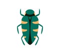 Bug vector icon for web design isolated on white background. Bug and Insect set in cartoon style. Royalty Free Stock Photo