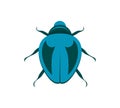 Bug vector icon for web design isolated on white background. Bug and Insect set in cartoon style. Royalty Free Stock Photo