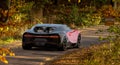 Bugatti Chiron driving on an autumn road