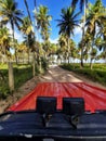 Buggy ride on lages beach, coconut plantation, Alagoas, Brazil.