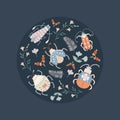 Bugs, beetles, and flowers flying around. Summer night conceptual illustration. Royalty Free Stock Photo