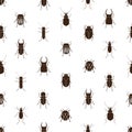 Bugs and beetles simple seamless pattern Royalty Free Stock Photo