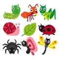 Bugs collection, insect vector design Royalty Free Stock Photo