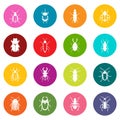 Bugs icons many colors set