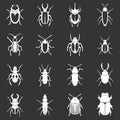 Bugs icons set grey vector Royalty Free Stock Photo