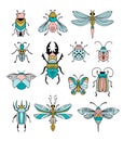 Bugs, insects, Butterfly, ladybug, beetle, swallowtail, dragonfly collection. Modern set of icons, symbols and