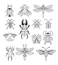 Bugs, Insects, Butterfly, Ladybug, Beetle, Swallowtail, Dragonfly Collection. Modern Set Of Icons, Symbols And