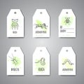 Bugs insects hand drawn tag Pest control concept. Entomology cards. Cartoon illustration of pests and bug. Vector