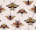 Bugs, moth, butterfly insect animal seamless pattern. Fly wildlife background. Biology species, fabric cloth design, old school