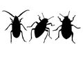 Forest beetles in a set in different poses. in the set. Royalty Free Stock Photo