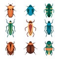 Bugs vector icons for web design isolated on white background. Bug and Insect set in cartoon style. Royalty Free Stock Photo