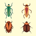 Bugs vector icons for web design isolated on white background. Bug and Insect set in cartoon style. Royalty Free Stock Photo