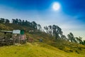 Bugyals, flat lands at upper Himalayas, Uttarakhand, India Royalty Free Stock Photo