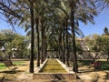 Buhaira Garden Royalty Free Stock Photo