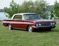 Buick Skylark Royalty Free Stock Photo