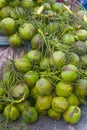 A buik of fresh coconuts ready to be sold in tropical country Royalty Free Stock Photo