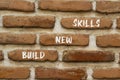 Build new skills symbol. Concept word Build new skills on beautiful red brown bricks. Beautiful red brown brickwall background. Royalty Free Stock Photo