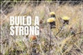Build a strong mindset. Carline thistle Carlina vulgaris from above Royalty Free Stock Photo