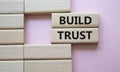 Build trust symbol. Wooden blocks with words Build trust. Beautiful pink background. Business and Build trust concept. Copy space