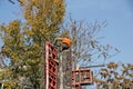 Builder installs formwork and iron reinforcement or reinforcing bar for reinforced concrete partitions Royalty Free Stock Photo