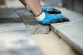 Builder laying new paving bricks Royalty Free Stock Photo