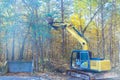 Builder uproots trees in a forest with tractor so that land can be prepared for construction