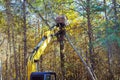 A builder uses tractor to uproot trees in preparation for construction