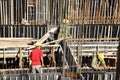 Builder worker knitting metal rods bars into framework reinforcement for concrete pouring at construction site