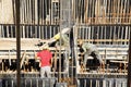 Builder worker knitting metal rods bars into framework reinforcement for concrete pouring at construction site