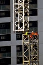 Builders assemble a tower crane