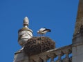 Arco da Vila, gate to the old town of Faro in Portugal, historic building with stork nest Royalty Free Stock Photo