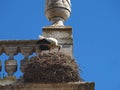 Arco da Vila, gate to the old town of Faro in Portugal, historic building with stork nest Royalty Free Stock Photo