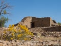 Building at Aztec Ruins National Monument in Aztec, New Mexico, with Rabbitbrush Plant in Foreground Royalty Free Stock Photo