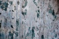 Building board texture. Gray concrete wall, old surface with peeling plaster Royalty Free Stock Photo