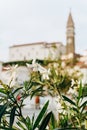 building chapel city flowers foreground with blur Royalty Free Stock Photo
