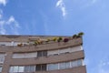 Building corner with rooftop plants, viewed from below. Urban perspective, architectural design, and a bright sky. Royalty Free Stock Photo